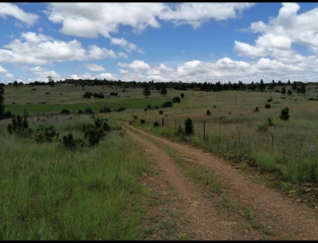 FARM FOR SALE IN LYDENBURG RURAL
